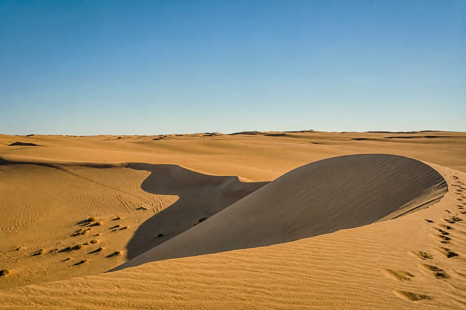 صحراء سيوة