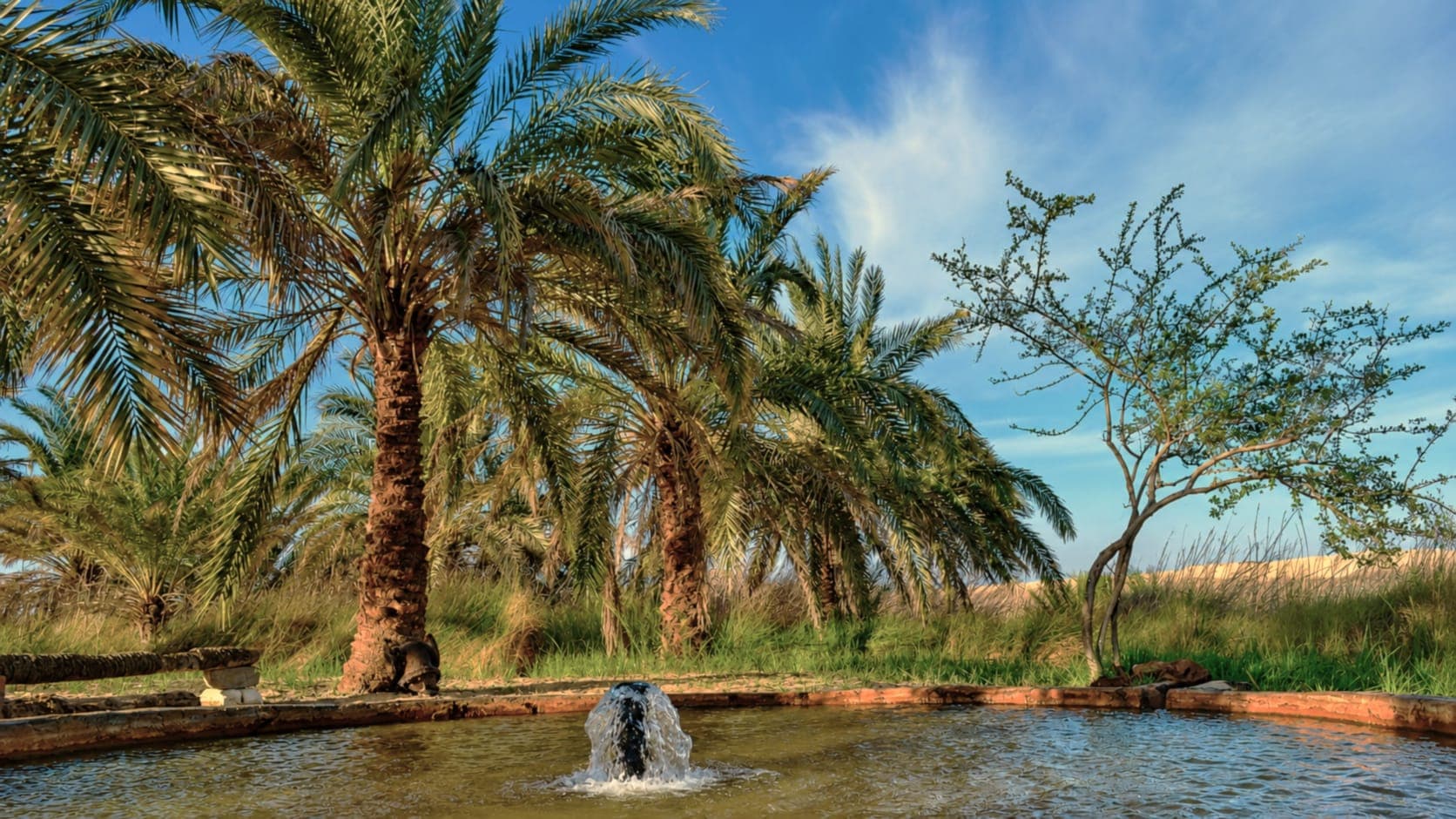 عيون سيوة الكبريتية: رحلة إلى قلب الصحراء الشافية — مدونة السياحة الاستشفائية في مصر